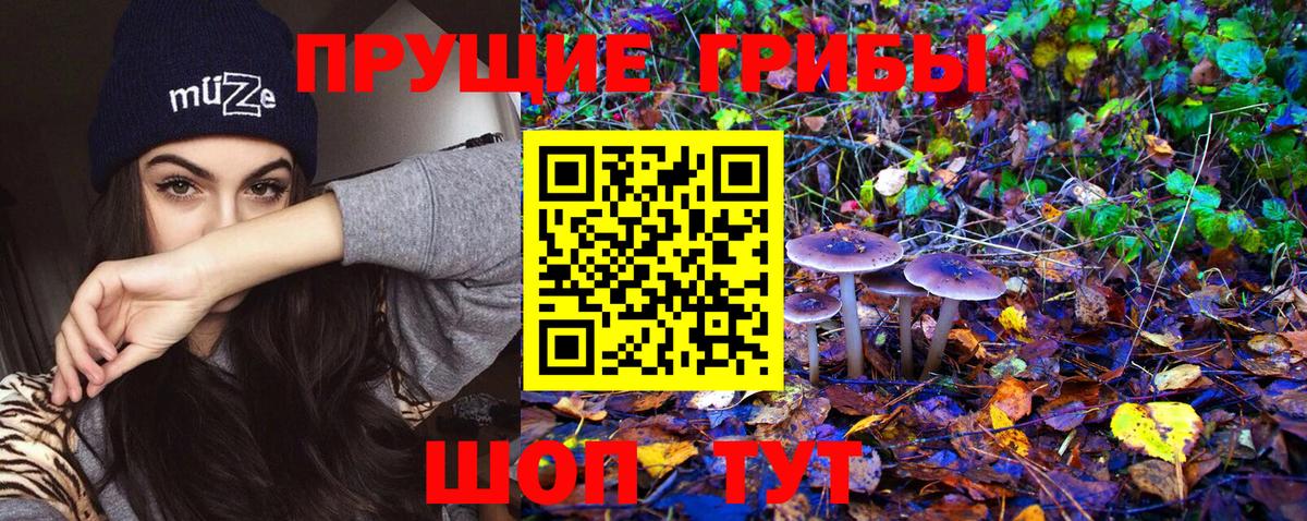 цены   Вход с VPN  Можайск  Псилоцибиновые грибы Psilocybe 